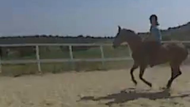галоп без седла смотреть онлайн
