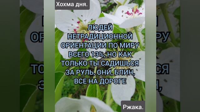 Хохмы Ржака.Юмор понедельника.Хохмы дня от меня для настроения хорошего Друзья!!!Ржу не могу!!!#рек смотреть онлайн