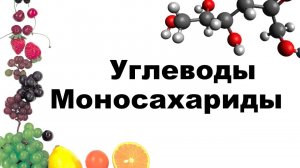 1.Углеводы. Моносахариды.
