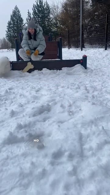 Холодный расчёт движет шпицем. Шпиц сериал. 6 Серия #шпицалогия #бонди #померанец смотреть онлайн