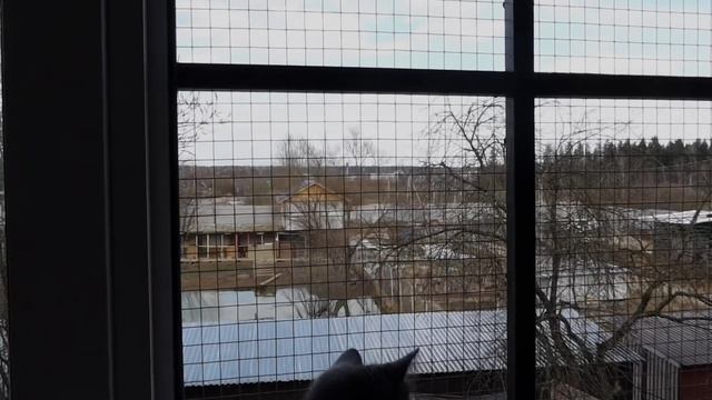 Приют Берегиня