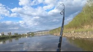 Рыбалка на спиннинг с берега на реке.