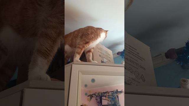 приучение детей к хорошей музыке смотреть онлайн