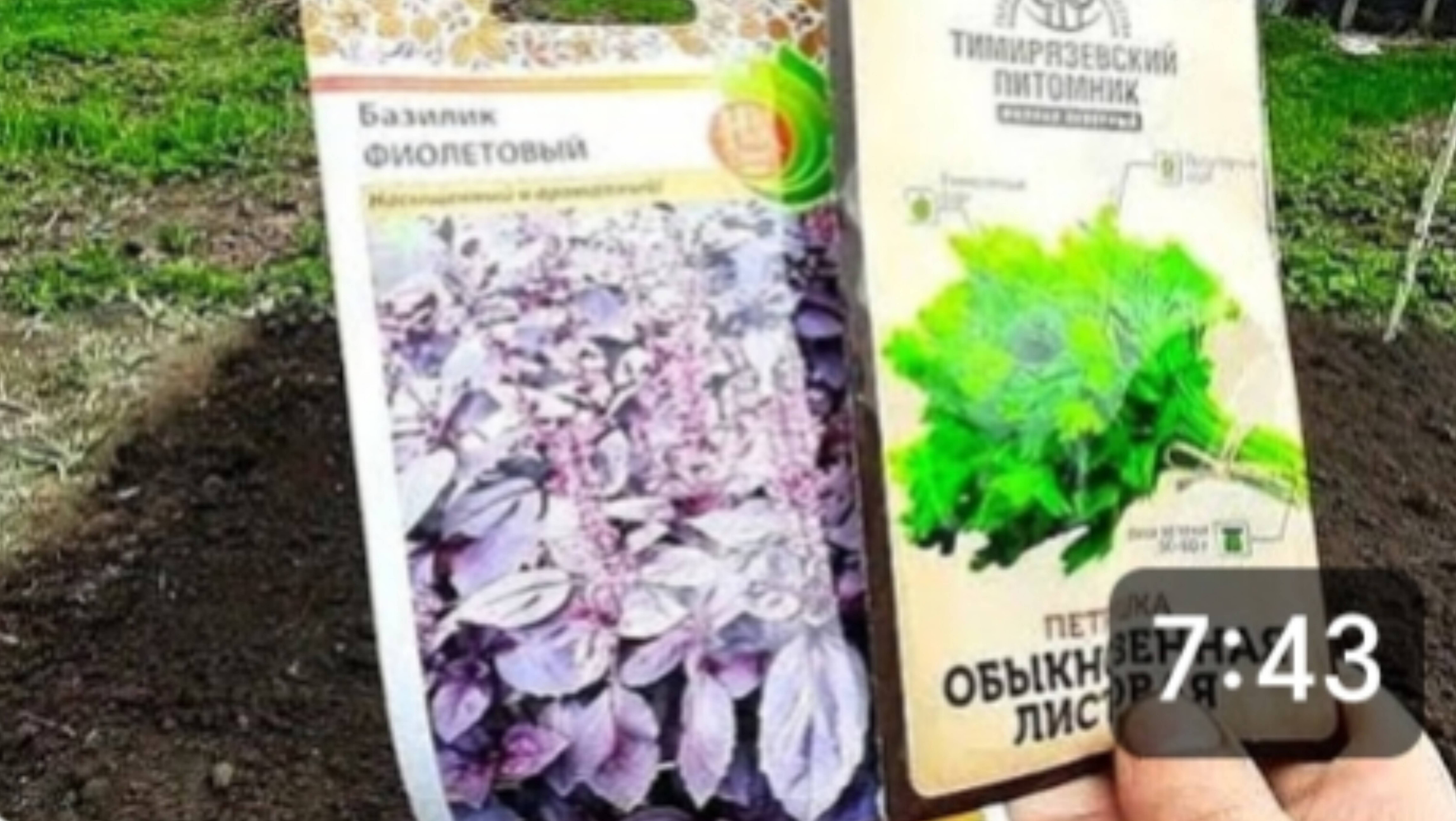 ДЕРЕВЕНСКИЕ ДЕЛА. Все сажаем и сажаем. День третий, пора бы и домой. смотреть онлайн