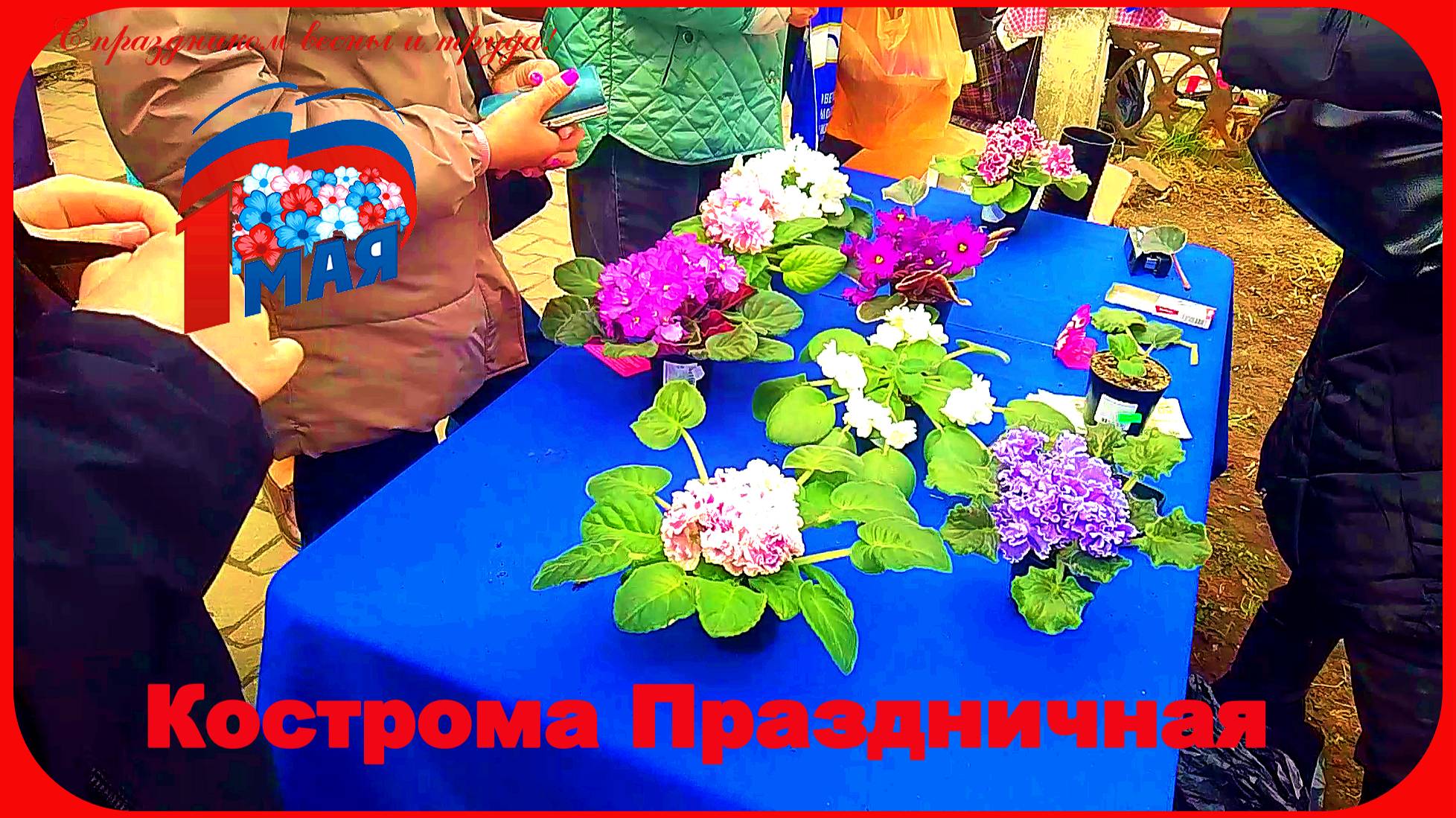 Кострома Праздничная Золотое Кольцо России Ярмарка смотреть онлайн