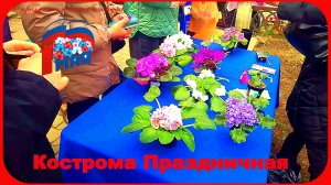 Кострома Праздничная Золотое Кольцо России Ярмарка