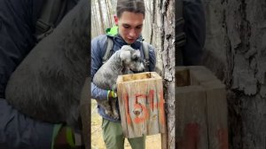 Обзор мольт: весна 2024