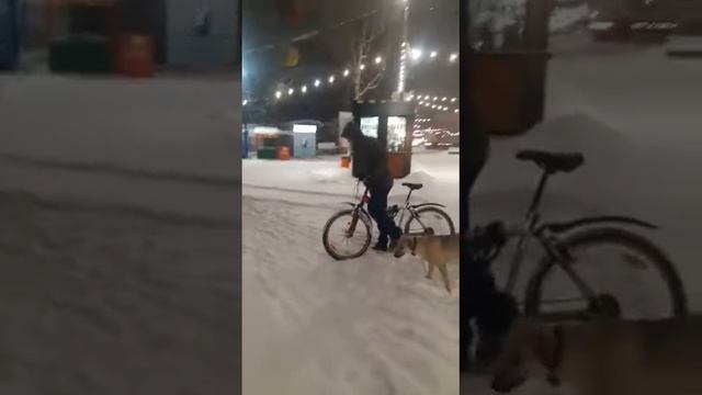 Отлично сказано ! Очень рад что резонирую этой правде ! Мужчины ! Верьте в себя