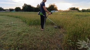 ИСПЫТАНИЕ АККУМУЛЯТОРНОЙ КОСЫ PROCRAFT PTA38, ОТЗЫВ / TESTING OF TH