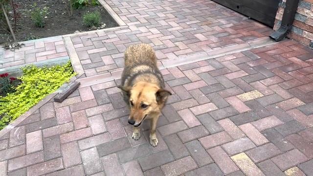 VID_20250501_213553_204.mp4 смотреть онлайн