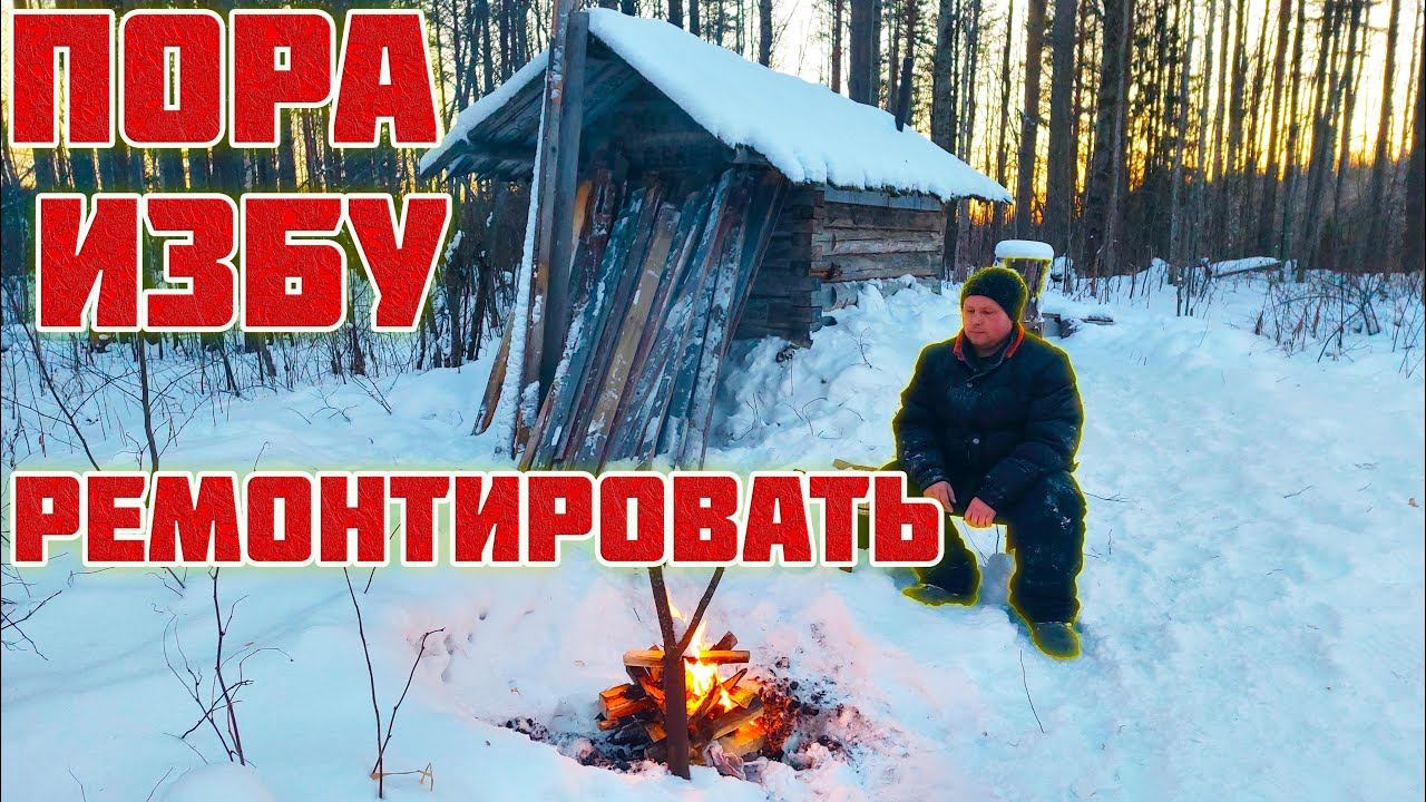 РЕМОНТ СТАРОЙ ИЗБЫ. ВОЖУ ДОСКИ. КУЧА ПРОБЛЕМ. СЛОМАЛАСЬ МОТОСОБАКА.