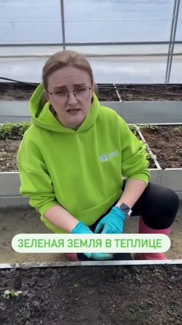 Зеленая земля в теплице? смотреть онлайн