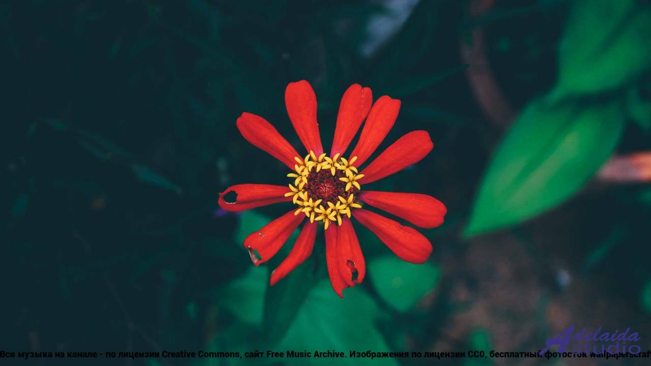 ❤❤❤ Видео, которое дарит силы - Dramatic Sad Powerful Chorus -- Lowtone Music -- Dramatic Sad + Chor смотреть онлайн