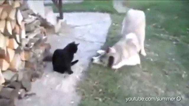 Давай Дружить смотреть онлайн