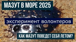 Мазут в море 2025, как мазут поведет себя летом, эксперимент волонтеров