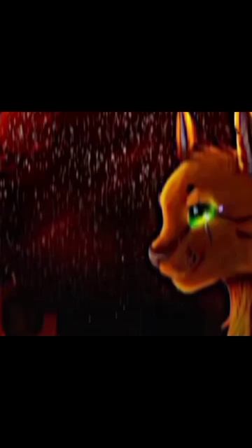 #КотыВоители#Огнезвёзд#Топ#Люблю