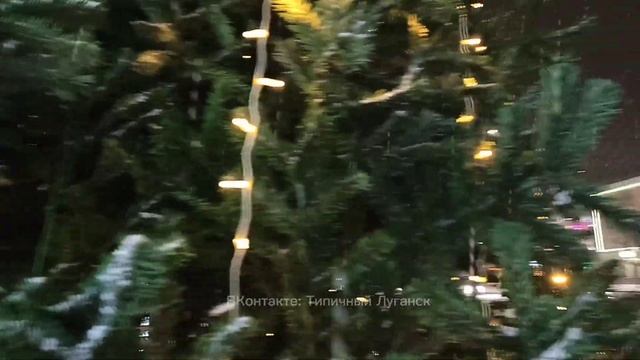 Луганск сегодня. Настоящее Рождество со снегом, Чебурашкой и Медведем 🎅🎄❄️👍 #луганск