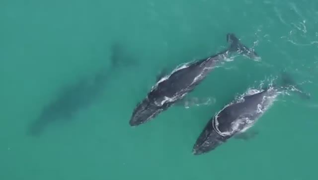 Музыка для сна, медитации, здоровья слушать