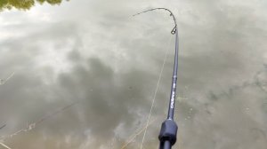 Микроджиг ловит всё рыбалка на спиннинг весной