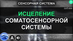 🔥🧬 ТЕЛО КАК СУПЕР-СЕНСОР! Саблиминал Восстановления Чувствительности | Осязание + Проприоцепция