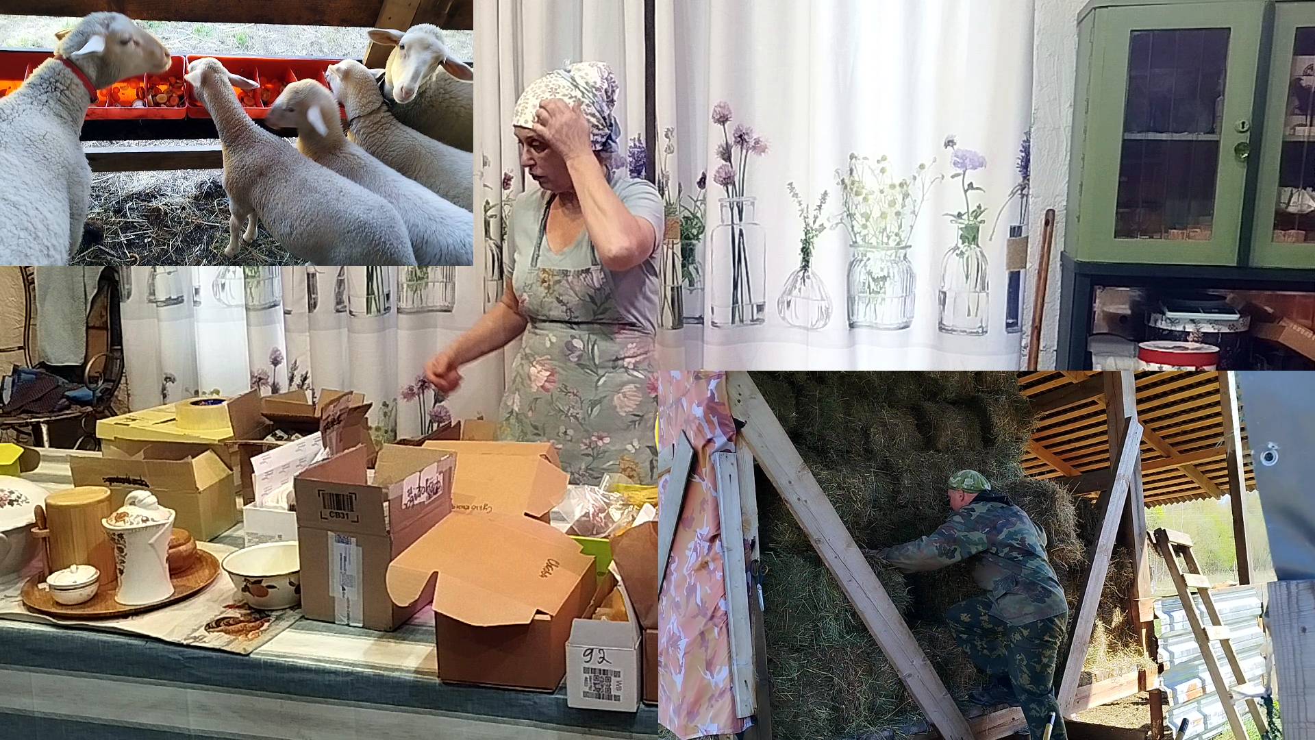 КОГДА ТЫ ВСЕ УСПЕВАЕШЬ🤔❓ смотреть онлайн