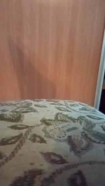 жопа