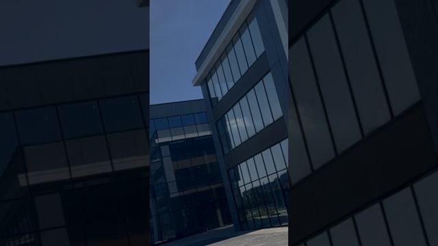 0711 (12) смотреть онлайн