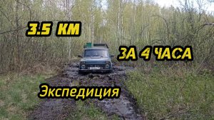 Загрузились так ,что машины тонут в весеннем лесу..