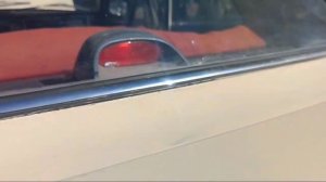 Волга демострация (2)