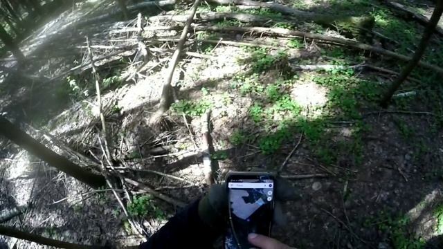 #VLOG ЛЕШЕГО #1 (походы/юмор/красота леса) смотреть онлайн