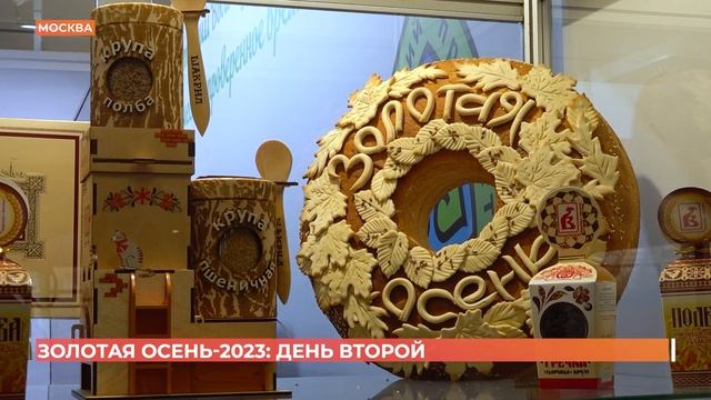 Наградами всероссийского форума отмечены донские производители во второй день "Золотой осени" смотреть онлайн