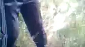 татар прикол