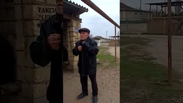 Алимет халу, юмор. смотреть онлайн