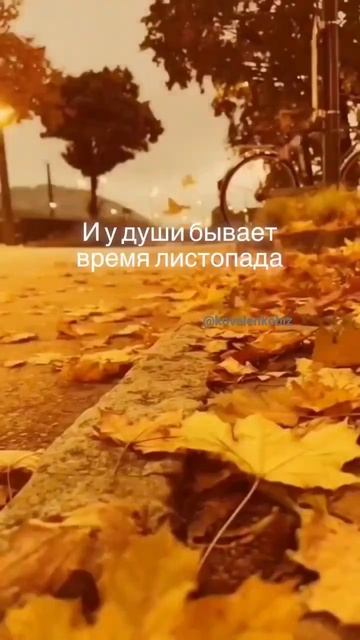 Не грусти😊Скоро выпадет снежок и накроет все печали и грусть❤️Белый, пушистый, чистый ❄️ #новоеврем смотреть онлайн