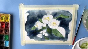 Рисуем жасмин с каплями воды. Простой скетч для начинающих. Арт Вереск