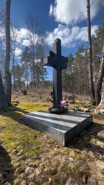 Памятник Народному поэту Беларуси Максиму Танку. #беларусь #history #вилейка