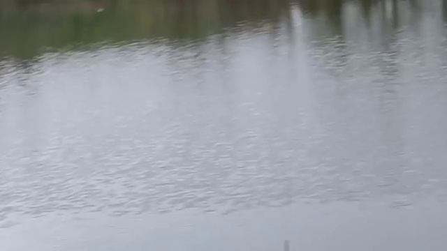 Первомайская обстановка на водоёме !