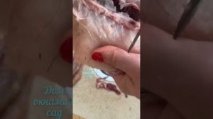 ГЛИСТЫ🪱 В МИНТАЕ🐟—ПРИЯТНОГО АППЕТИТА🥣больше не готовлю)🐟