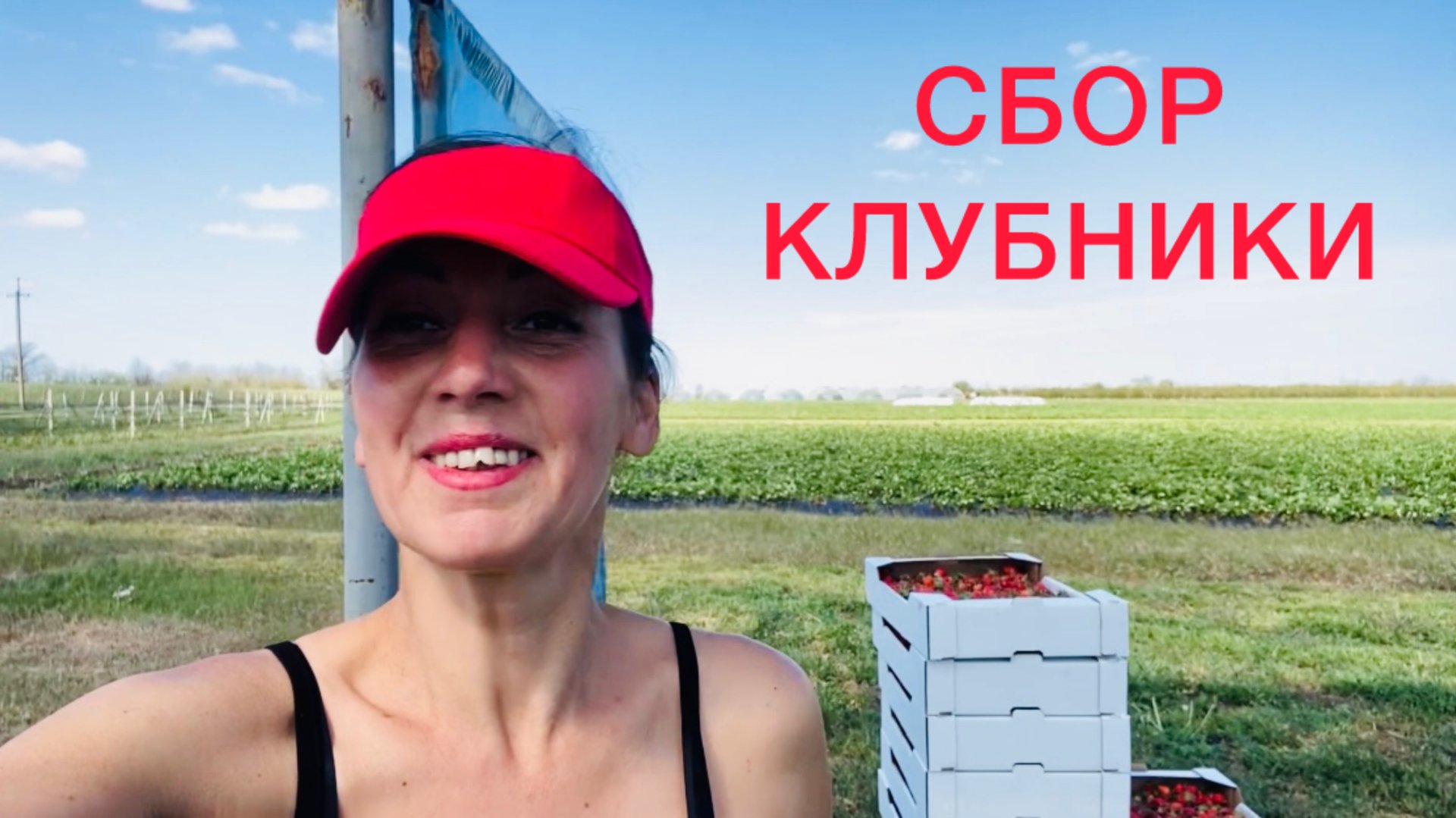 Сбор клубники🍓 КРЫМ апрель 2025 смотреть онлайн