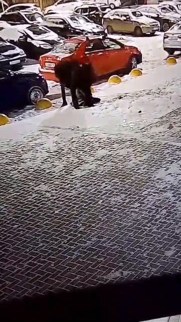 не смог дойти домой