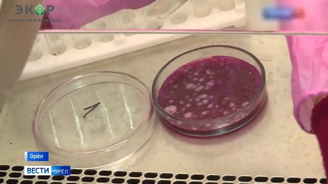 ГК «ЭКОР» Микроудобрения