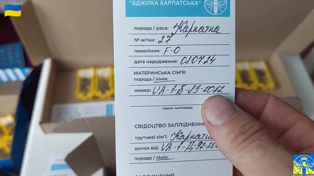 Бджоломатки з облітника "Сивуля" Ф-0 (18.07.24) 👍🐝 смотреть онлайн
