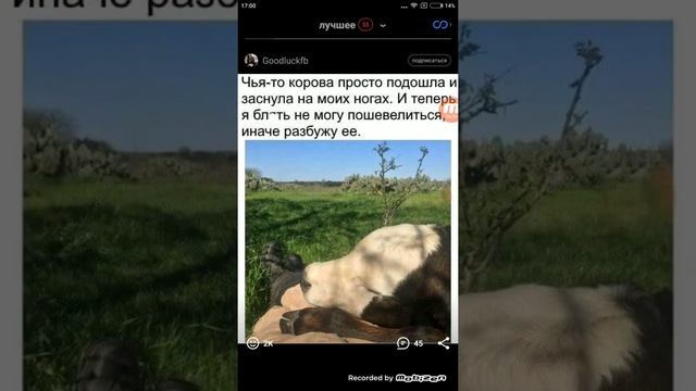 пацан вот это прикол да пацан это точно приколы смотреть онлайн