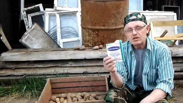 Это самый лучший способ. Чем я обрабатываю картофель, для защиты от фитофтороза.