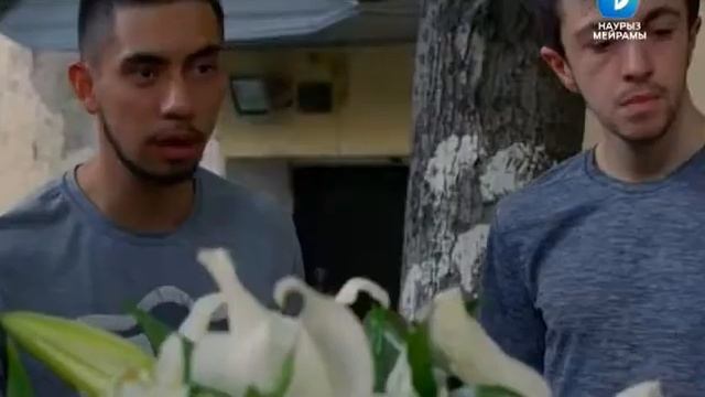 Решала 2018 смотреть онлайн