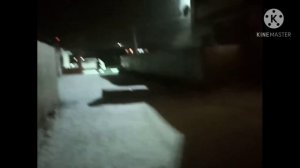 Картун кэт фильм ночью напал Cartoon cat