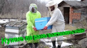 Профессор Кашковский: Нужно ли пчёл рано выставлять?