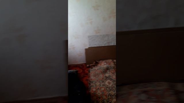 20250501_121408.mp4 смотреть онлайн
