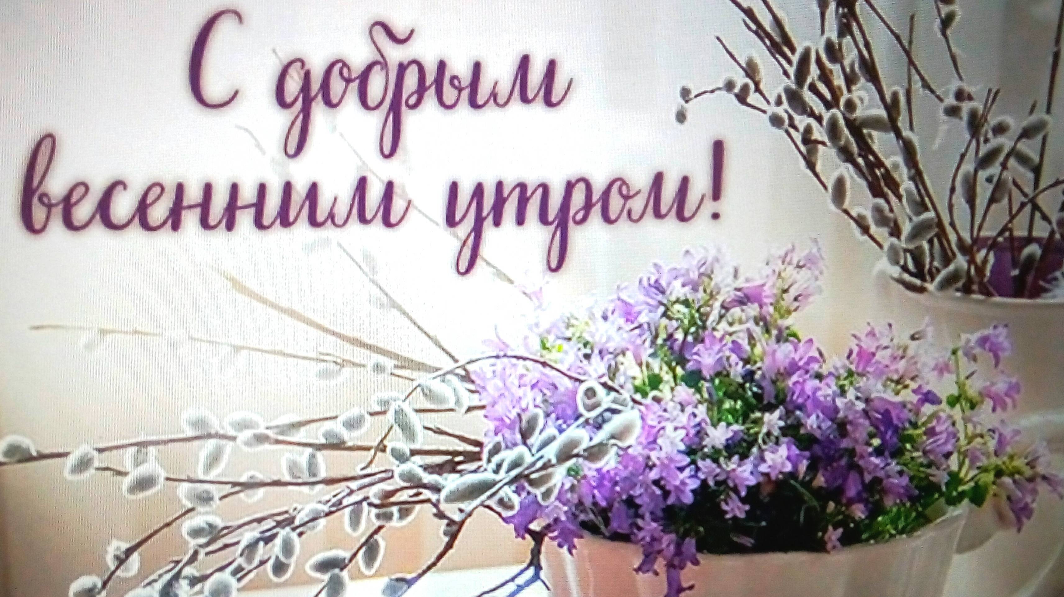 Мой день.Иду снова в Валберис.Примерка.* Распаковка*Моя микрозелень*Прогулка в парке. смотреть онлайн