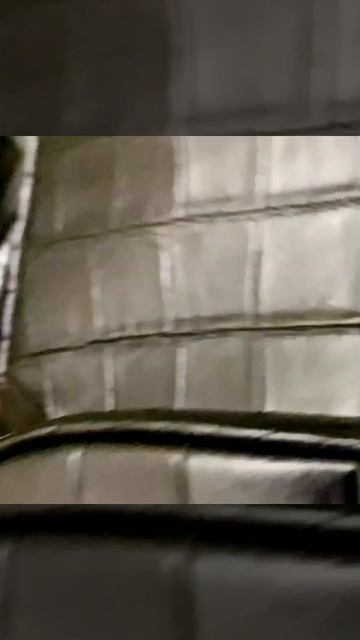 Рюкзак, клатч, и ремень, из натуральной кожи крокодила, мужской набор. смотреть онлайн